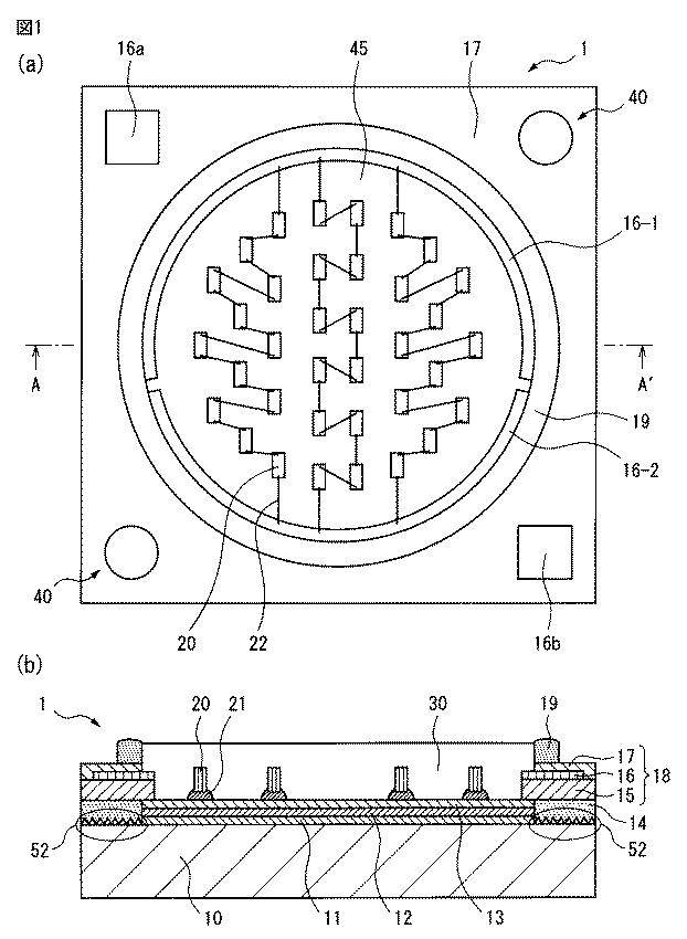 6366337-ＬＥＤ発光装置及びその製造方法 図000002