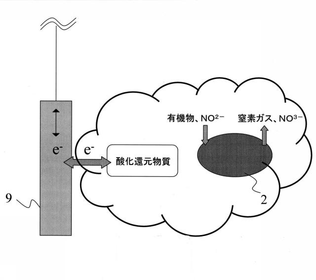 6396269-窒素代謝微生物の活性化方法 図000002