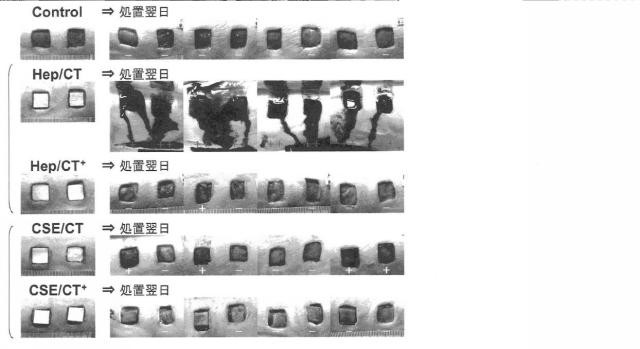 6437916-カチオン化キトサンを含有する医薬 図000002