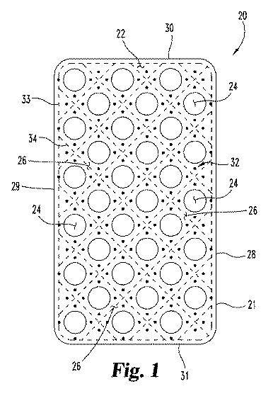 6441889-移植可能な装置および医療用移植片の製造方法 図000002