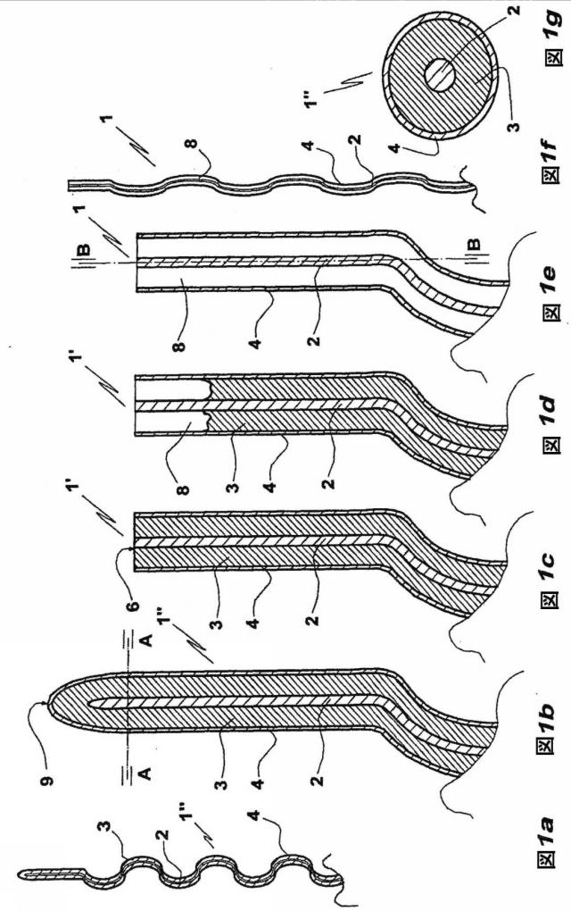 6449301-電極と光源とを含む医療器具 図000002