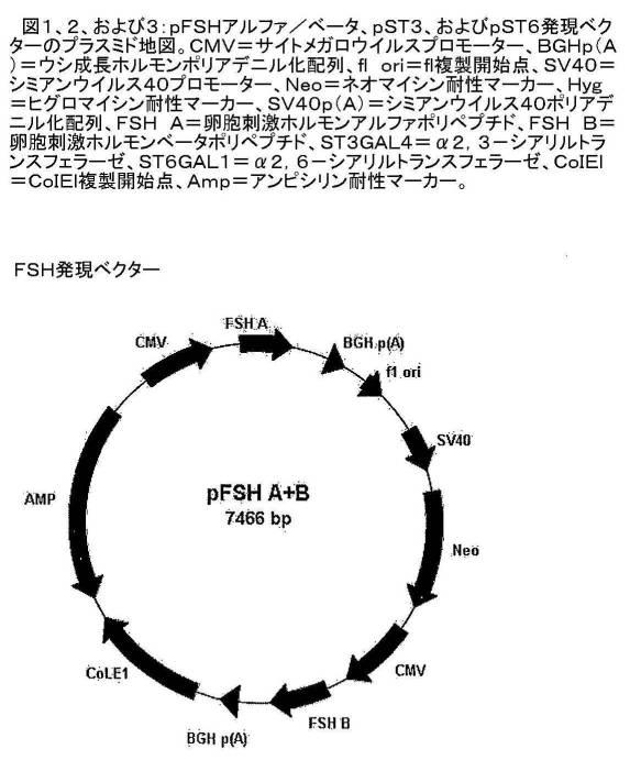 6486310-アルファ２，３−およびアルファ２，６−シアリル化を含む組換えＦＳＨ 図000002