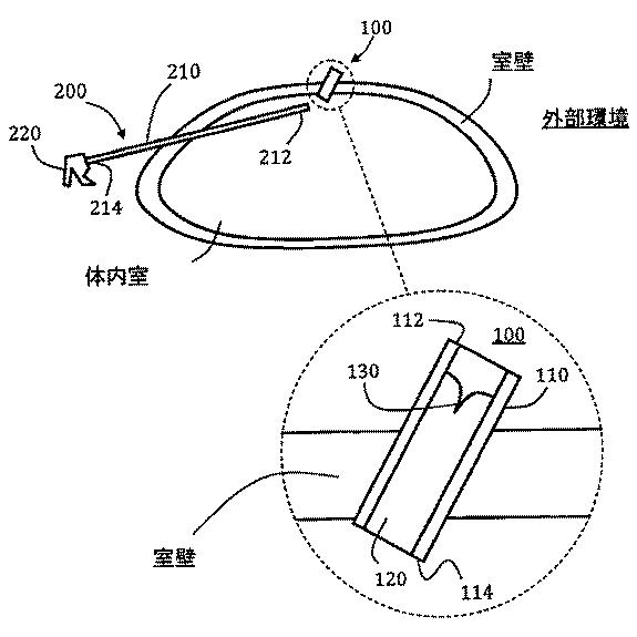 6494138-腹腔鏡検査用シールブリッジ 図000002