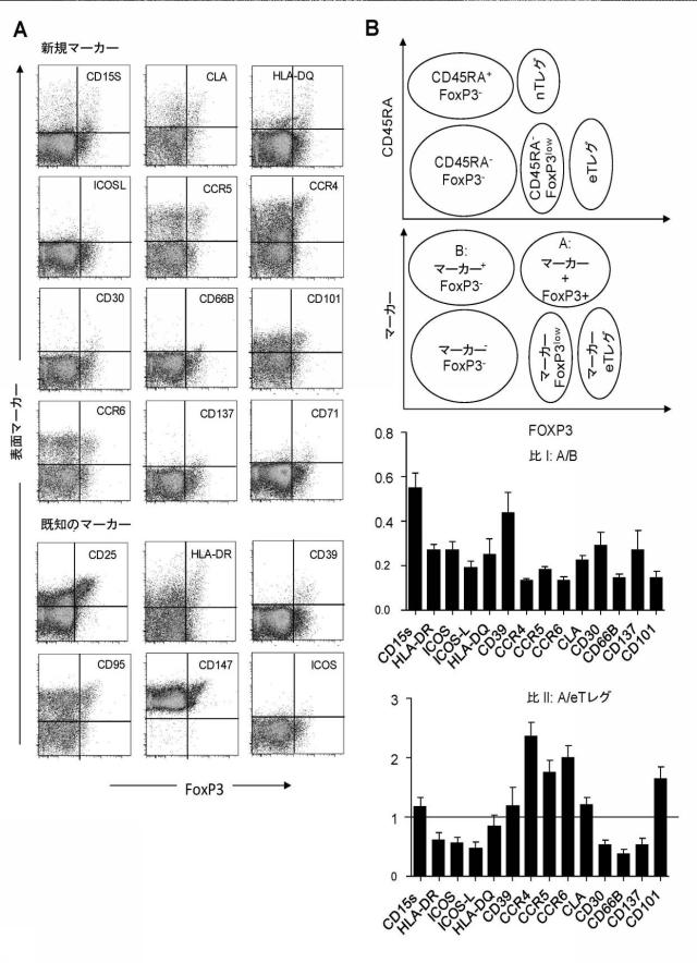 6574179-エフェクターＴレグ細胞を同定するための方法及びキット 図000002