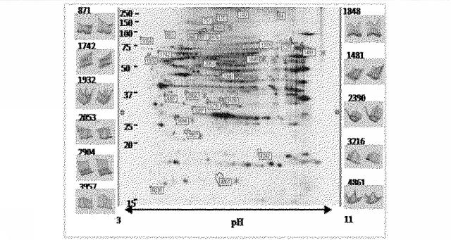 6609867-癌治療薬剤ならびに治療方法 図000002