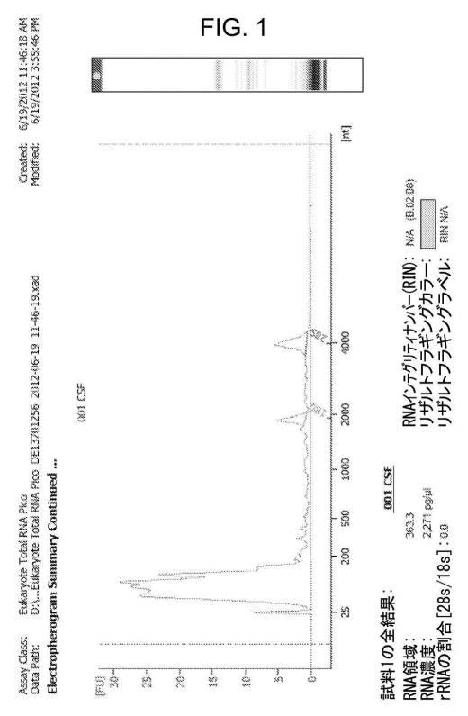 6673698-新規のＥＧＦＲ変異体 図000002