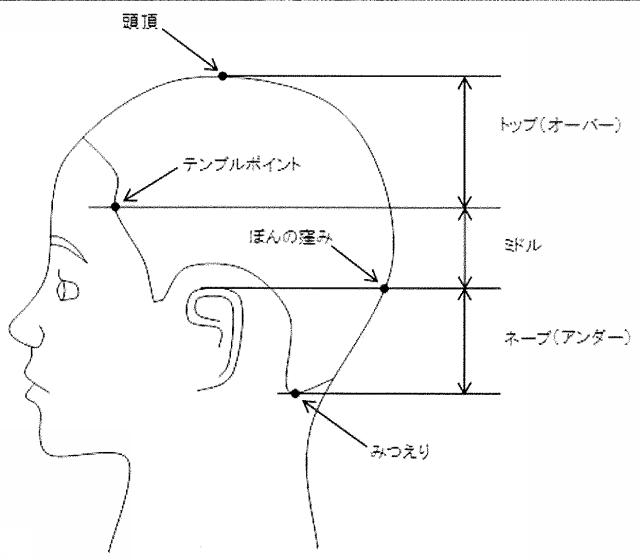 6688919-カルボニル化度の評価方法、カルボニル化度の低下を判定する方法、カルボニル化度低下成分のスクリーニング方法 図000002