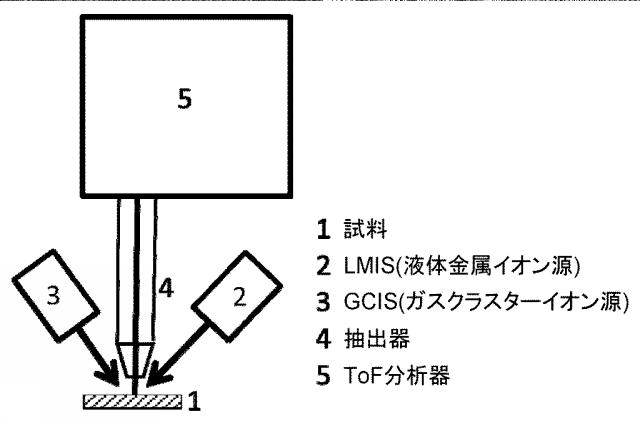 6716687-二次イオン質量分析計及び二次イオン質量分析方法 図000002