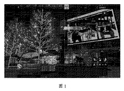 6727669-情報インタラクション方法、デバイス、およびシステム 図000002