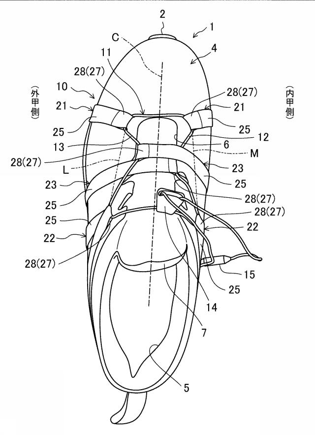 6788059-履物の緊締構造およびそれを用いたシューズ 図000002