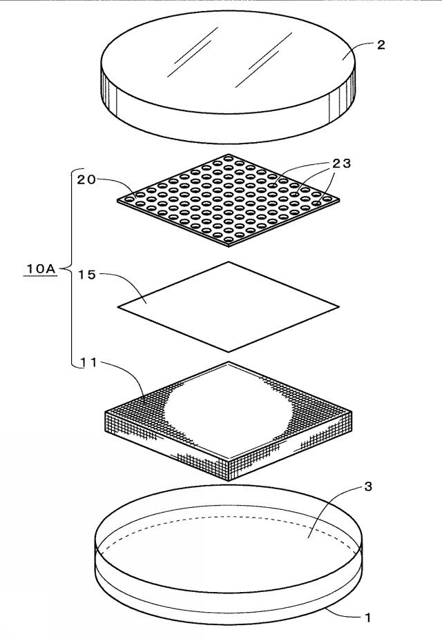 6792770-液体培地用足場部材 図000002