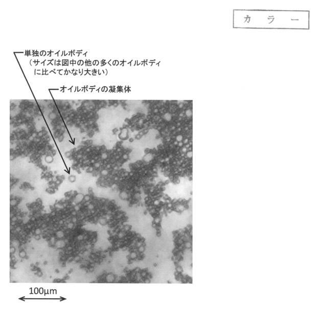 6818209-皮膚外用剤及び皮膚外用剤の製造方法 図000002