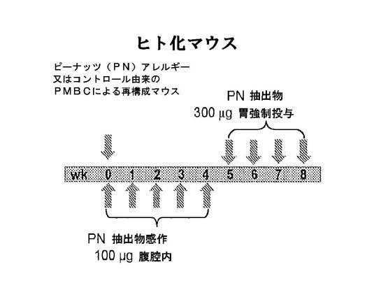 6878301-アレルゲンに対する反応を予防するための遺伝子治療 図000002