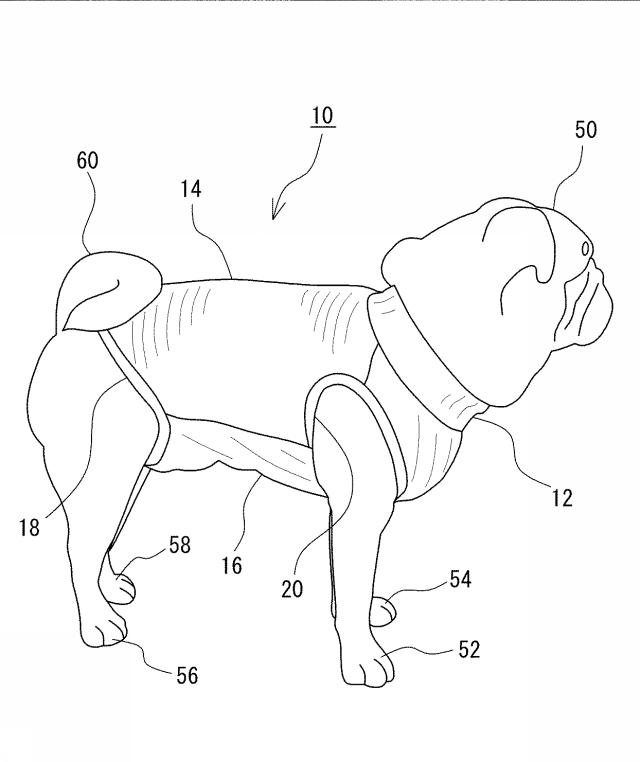 6883895-ペット用衣類 図000002