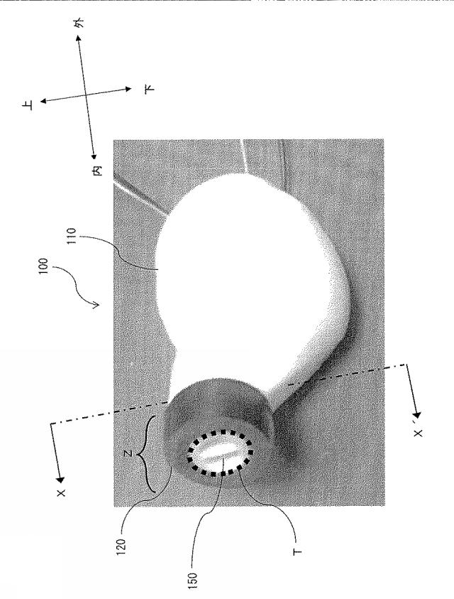6898008-イヤパッド及びこれを用いたイヤホン 図000002