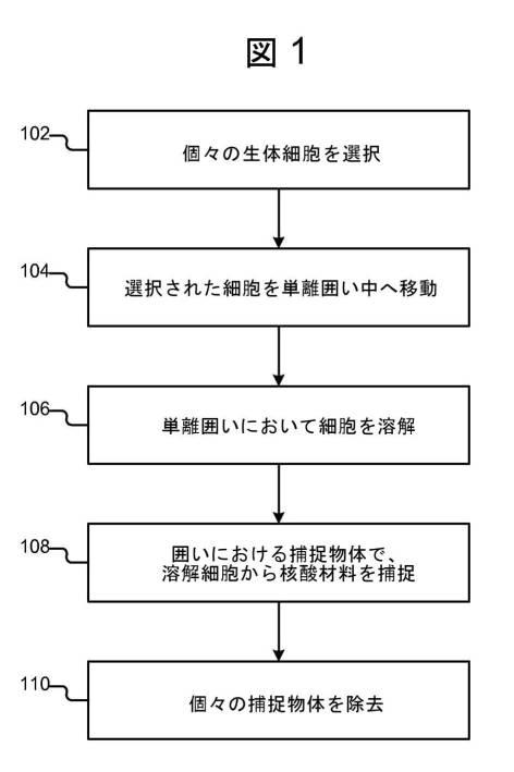 6954972-マイクロ流体デバイスにおける個々の生体細胞から特定の核酸材料を捕捉する方法 図000002