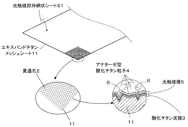 6972036-光触媒担持網状シート、空気清浄機、及び光触媒担持網状シートの製造方法 図000002