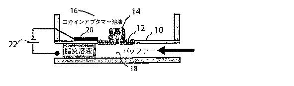 5683216-標的物質の検出方法及び装置 図000003