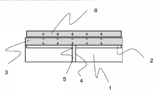 5717248-静電チャックの給電部及びその製造方法 図000003