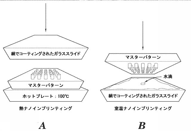 5717653-生物医学的用途およびバイオフォトニック用途のための絹フィブロイン構造体のナノインプリンティングの方法 図000003