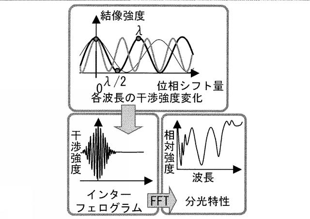 5765693-分光特性測定装置 図000003