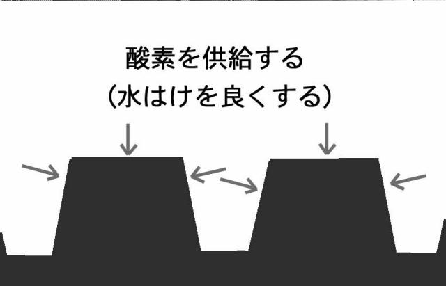 5770897-大気中の常在菌を活用し無肥料および無農薬で野菜を栽培する畑の造成方法 図000003