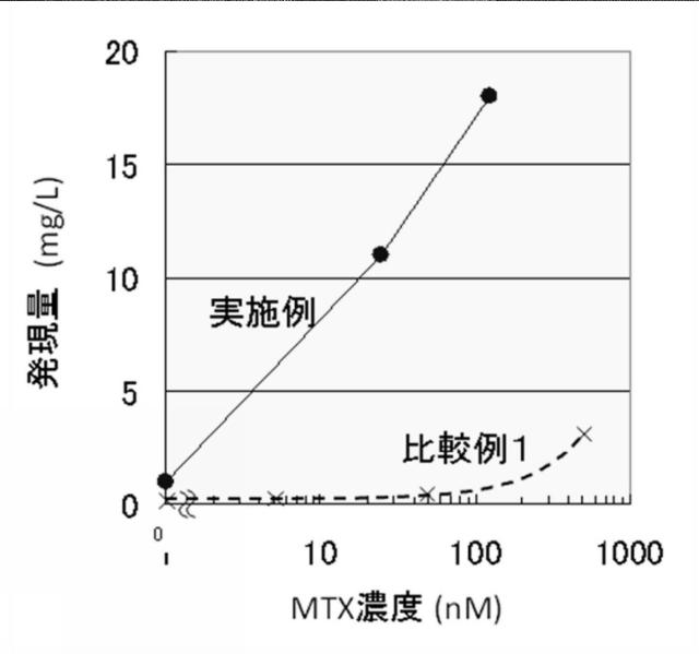 5811321-新規タンパク質発現方法 図000003