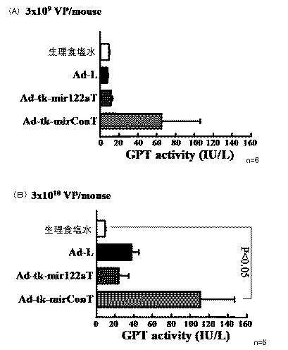 5812361-遺伝子発現制御機構を含む新規Ａｄベクター 図000003