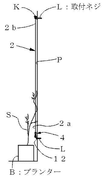 5830261-ワイヤ型の緑化用資材 図000003