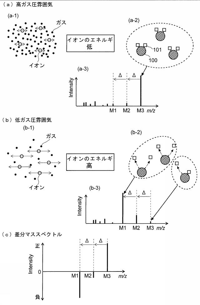 5831347-質量分析装置及び質量分析方法 図000003