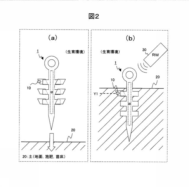 5833739-植物用ＩＣタグ、及び植物用ＩＣタグの製造方法 図000003