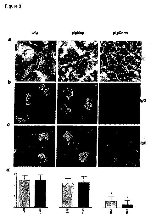 5854604-Ｉｇ−ｐＣｏｎｓｅｎｓｕｓ遺伝子ワクチン接種は、自己免疫疾患における抗体依存性の免疫病態から保護する 図000003