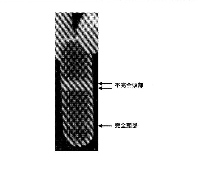 5863766-タンパク質および核酸送達媒体、その成分および機構 図000003