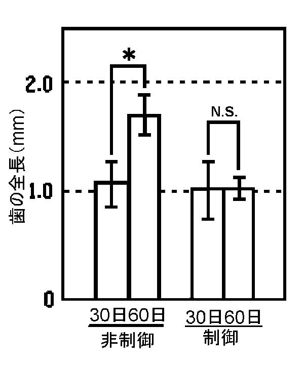 5868844-再生歯ユニットの製造方法 図000003