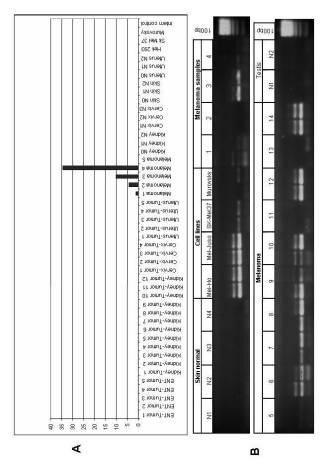 5922159-腫瘍診断と治療のための表面関連抗原の同定 図000003