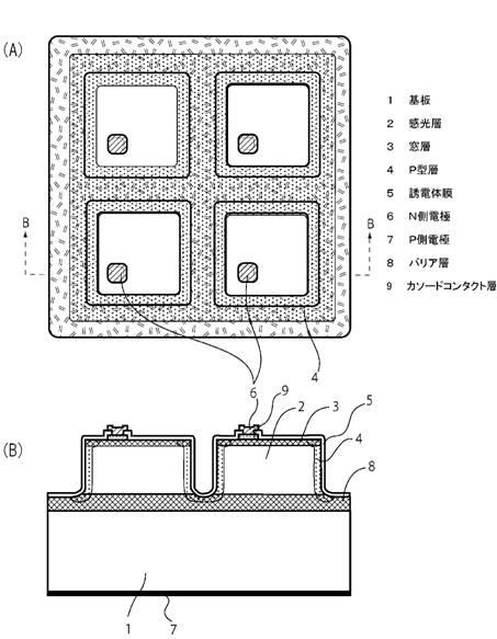 5942068-化合物半導体受光素子アレイ 図000003