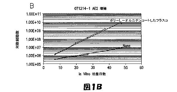 5952737-哺乳動物由来グリア制限前駆細胞を増大、同定、特徴付けおよび能力増強するための方法および組成物 図000003