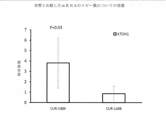 5973996-ＡＴＯＨ１に対する天然アンチセンス転写物の阻害による無調ホモログ１（ＡＴＯＨ１）関連疾患の治療 図000003