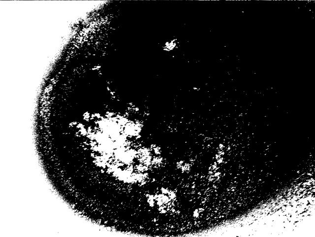 6060336-籾殻灰の製造方法 図000003