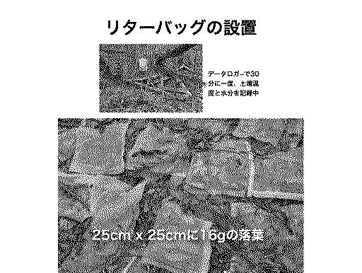 6243184-土壌の放射性セシウム除染方法 図000003