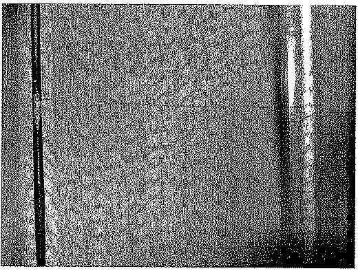 6243880-凝集物の製造方法 図000003