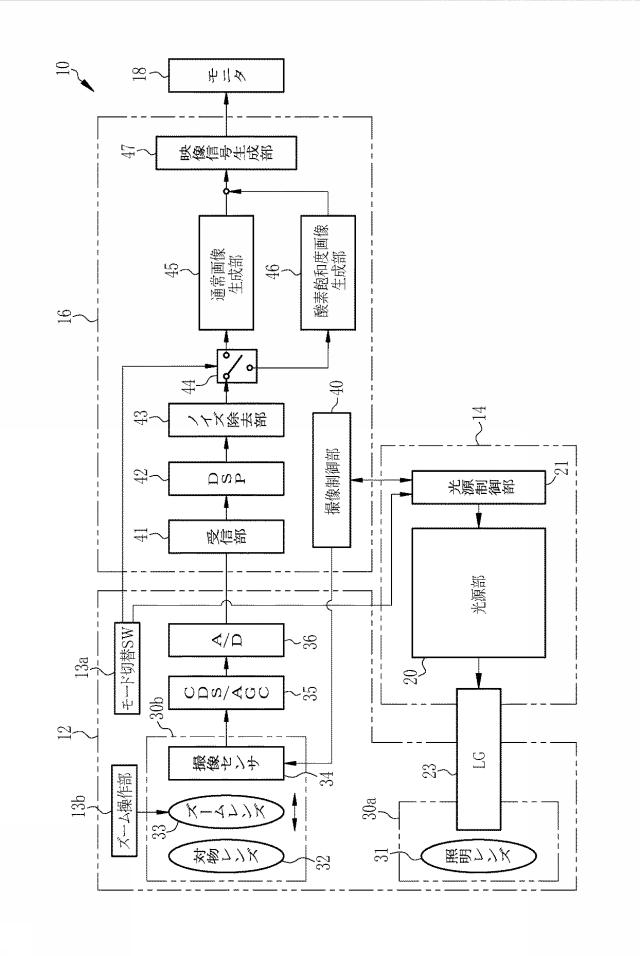 6254502-内視鏡用光源装置及び内視鏡システム 図000003