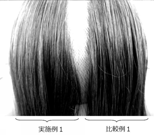 6312354-ヘアワックス 図000003