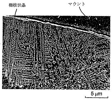 6348066-表面 図000003