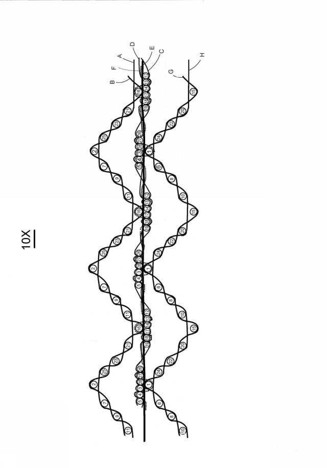 6377866-伸縮自在織物構造体 図000003