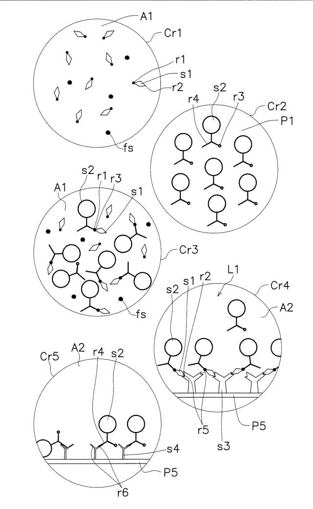 6385245-検出装置及び検出方法 図000003