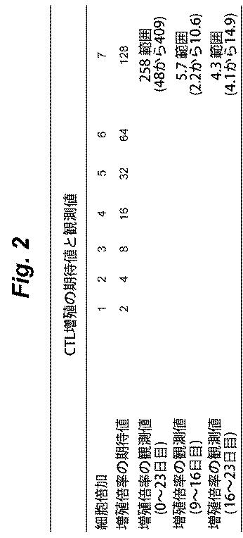 6386447-養子細胞療法のための改良された細胞培養法 図000003