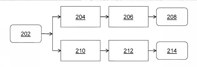 6426201-同時磁気共鳴イメージング中の非接触式生理学的モニタリング 図000003