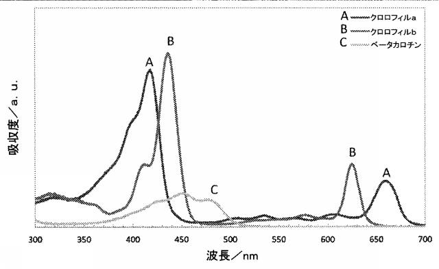 6430453-光合成生物の成長を促進するための量子ドットＬＥＤ 図000003