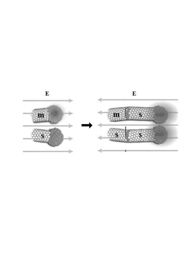 6554564-光検出器 図000003